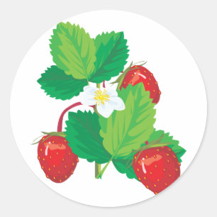 realistic juicy strawberries classic round sticker