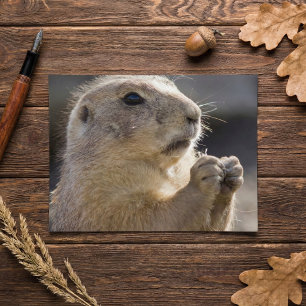 Realistic Natural Profile Groundhog Paws Up Photo Postcard