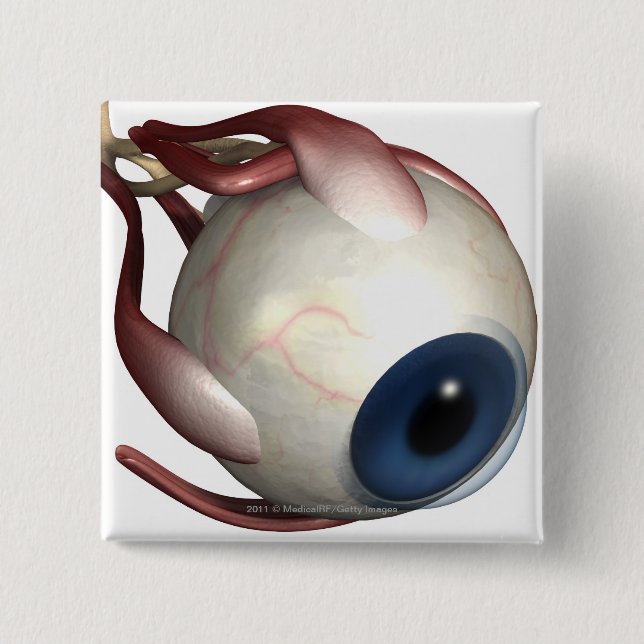 Realistic rendering of the muscles of the eye 2 inch square button (Front)