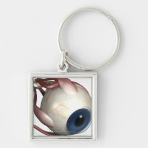 Realistic rendering of the muscles of the eye keychain