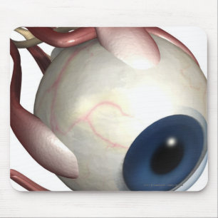 Realistic rendering of the muscles of the eye mouse pad