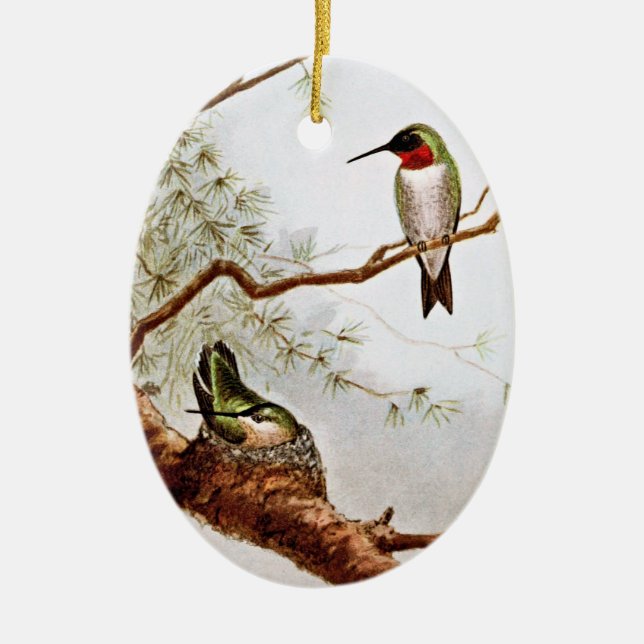 Realistic Ruby-Throated Hummingbird Art Ceramic Ornament (Front)
