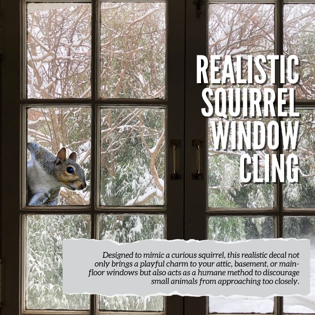 Realistic Squirrel Window Cling (Creator Uploaded)