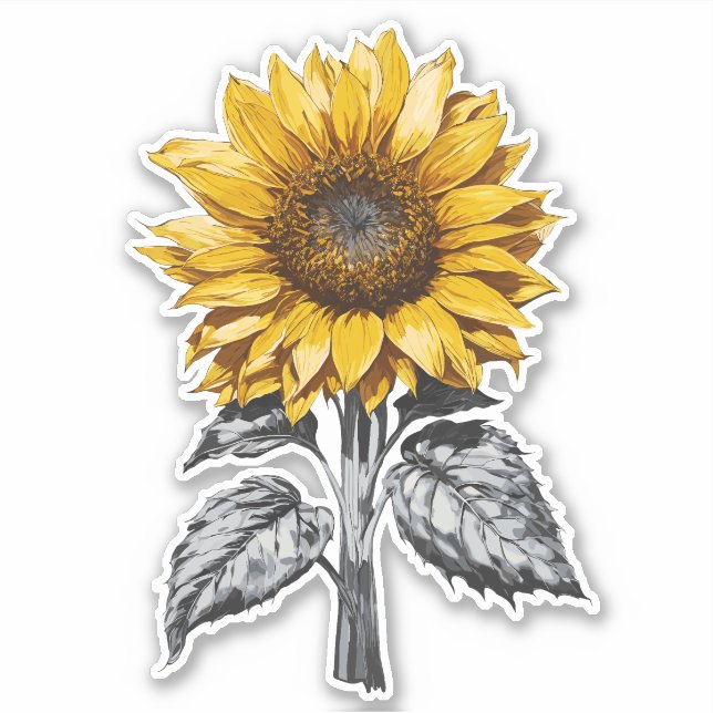 Realistic Sunflower illustration (Front)