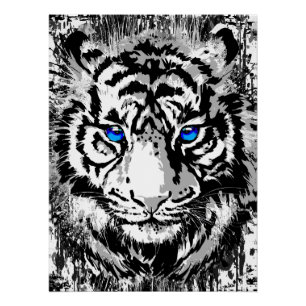 Realistic Tiger Poster Glossy - White Tiger Head