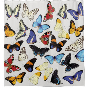 Realistic vintage butterflies collection.