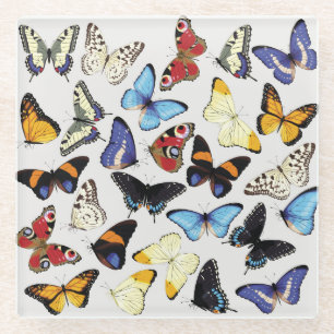 Realistic vintage butterflies collection. glass coaster