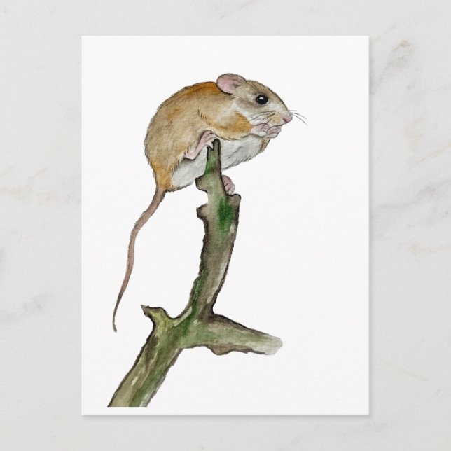Realistic watercolor mouse in a tree postcard (Front)