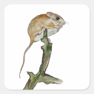 Realistic watercolor mouse in a tree square sticker