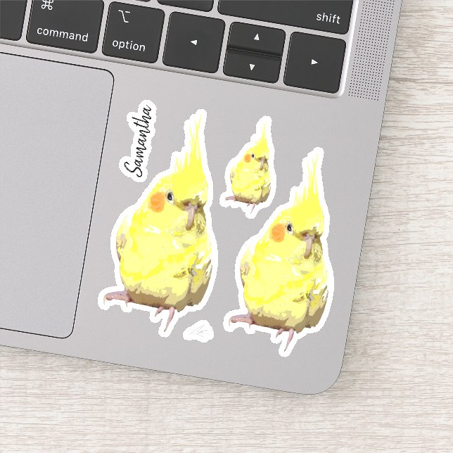 Realistic Yellow Cockatiel Painting Customized (Detail)