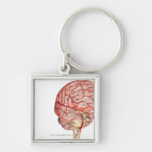 Realitic rendering of the human brain keychain