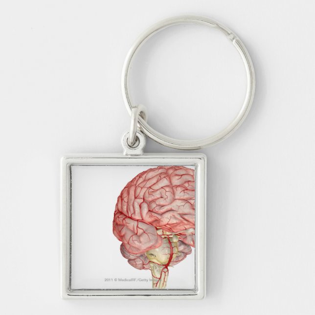 Realitic rendering of the human brain keychain (Front)