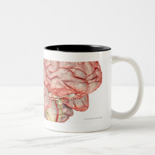 Realitic rendering of the human brain Two-Tone coffee mug