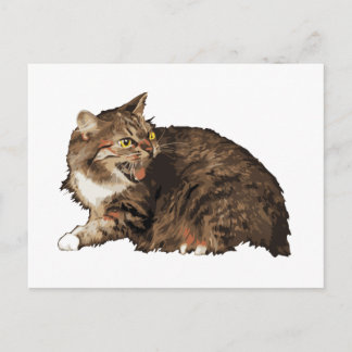Really Angry Cat Postcard