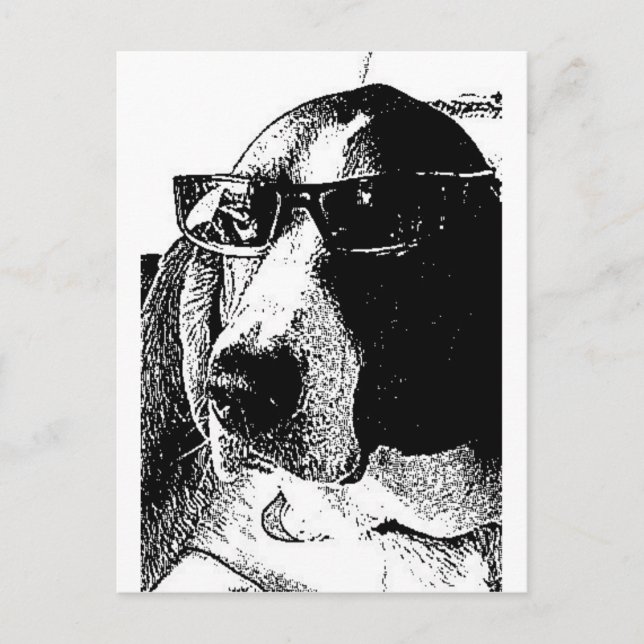 REally cool basset hound Postcard (Front)