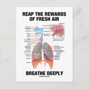 Reap The Rewards Of Fresh Air Breathe Deeply Postcard