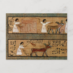 Reaping and ploughing, detail a depiction postcard