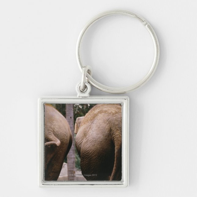 Rear view of Asian elephants Keychain (Front)
