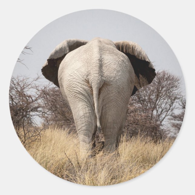 Rear view of elephant classic round sticker (Front)