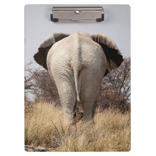 Rear view of elephant clipboard (Front)