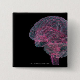 Rear view of the human brain 2 inch square button