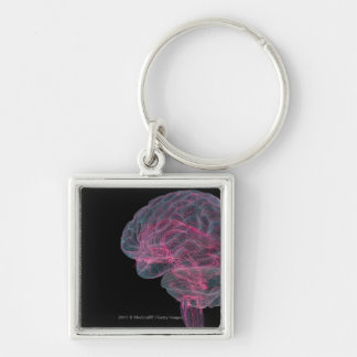 Rear view of the human brain keychain