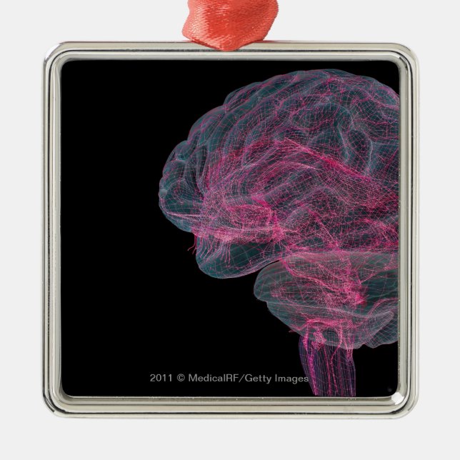 Rear view of the human brain metal ornament (Front)
