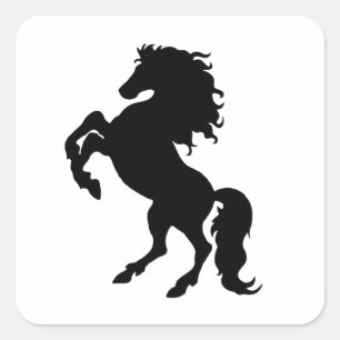 Rearing Black Stallion / Horse Square Sticker