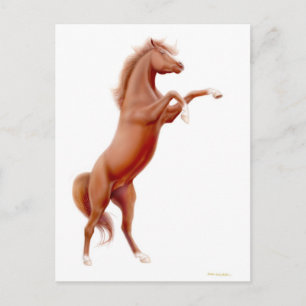 Rearing Chestnut Horse Postcard
