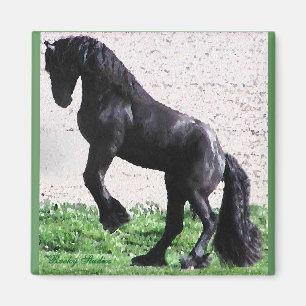 Rearing Friesian magnet