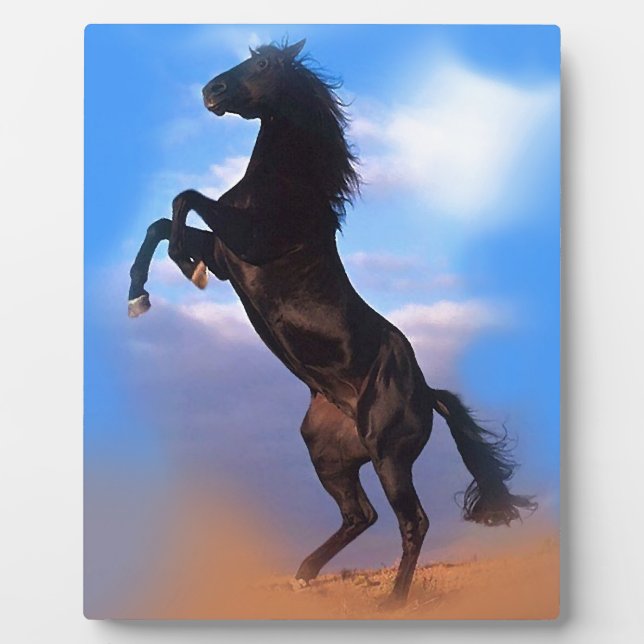 Rearing Horse Plaque (Front)