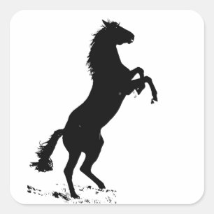 Rearing Horse Silhouette Square Sticker