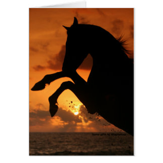 Rearing in the Sunset