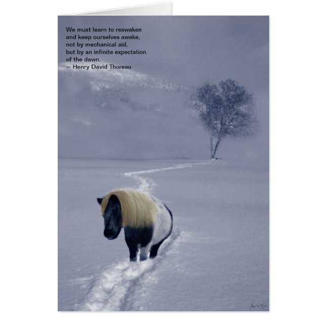 "Reawakening" Thoreau card (Front)