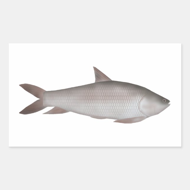 Reba Carp Sticker (Front)