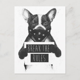 Rebel dog postcard
