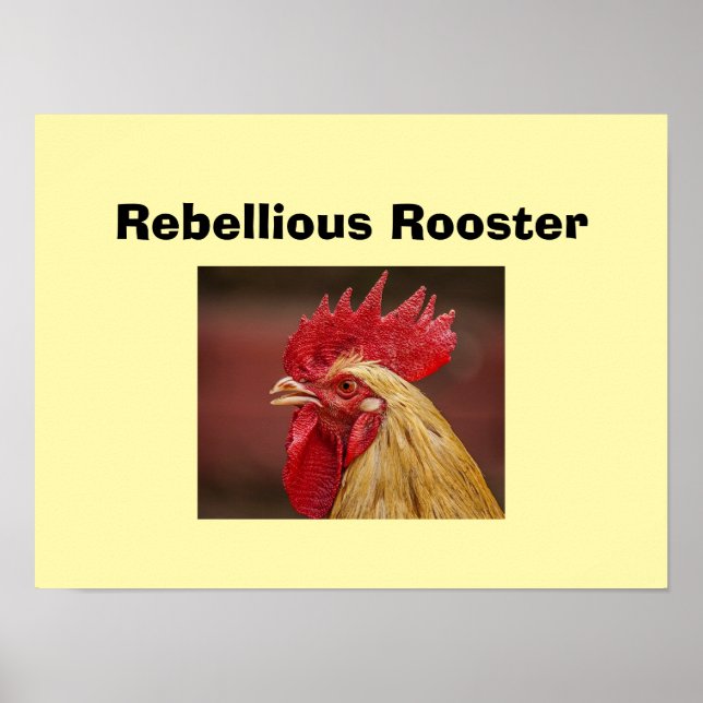 Rebellious Rooster  Poster (Front)
