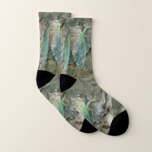 Rebirth Socks (Pair)