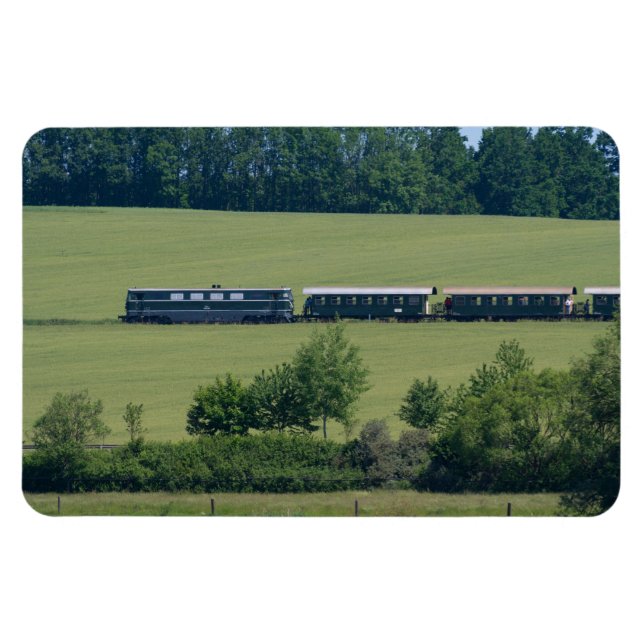 Reblaus Express Magnet (Horizontal)