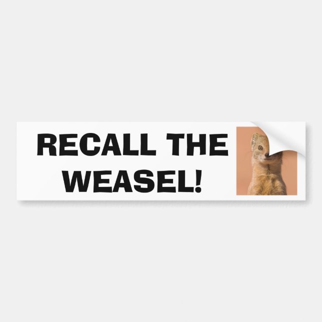 Recall Governor Walker Bumper Sticker (Front)