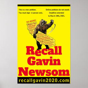 recallgavin2020 2:3 ratio heavy bear poster