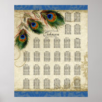 Reception Table Seating Chart, Peacock & Feathers