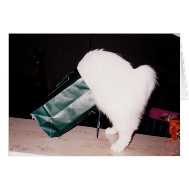 Recherche (Devant horizontal)