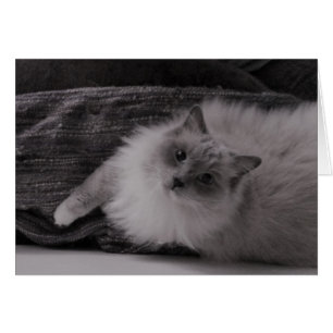 Recherche