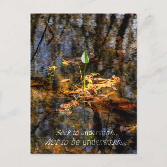 Recherche à comprendre, pour ne pas être carte (Devant)