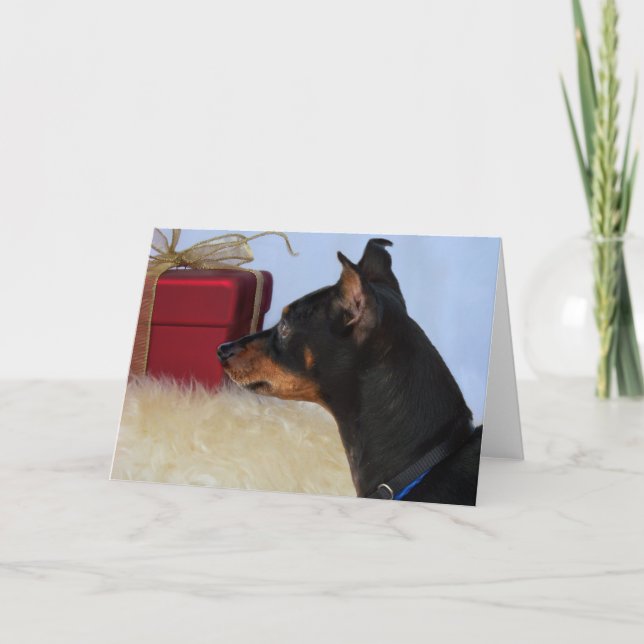 Recherche de la carte minimum de chien de Pin de (Devant)