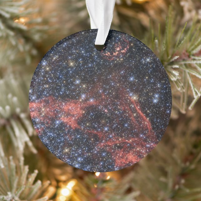 Recherche De Survivant Stellaire De Supernova Expl (Arbre)