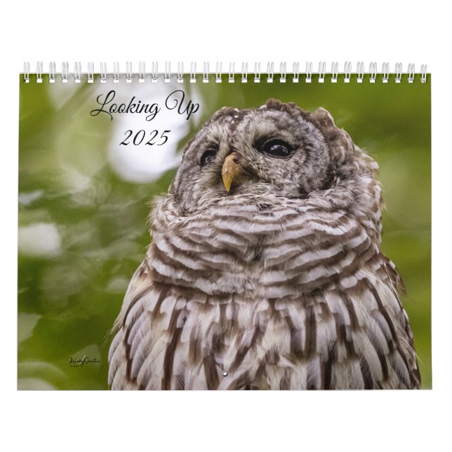 Recherche du calendrier 2025 (Protection)