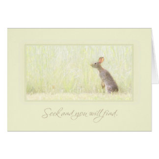 Recherche et découverte