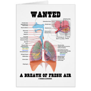 Recherché une bouffée d'air frais (appareil